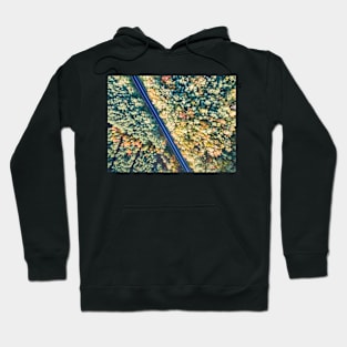 Road through colorful autumn forest Hoodie